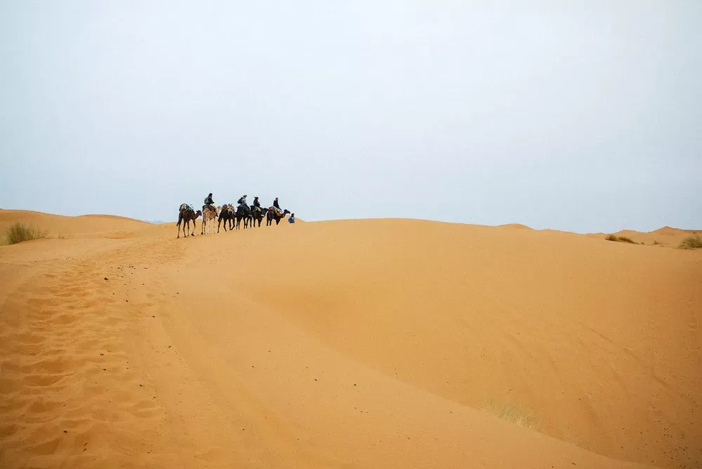 Sunrise Camel Trek in Erg Chebbi
