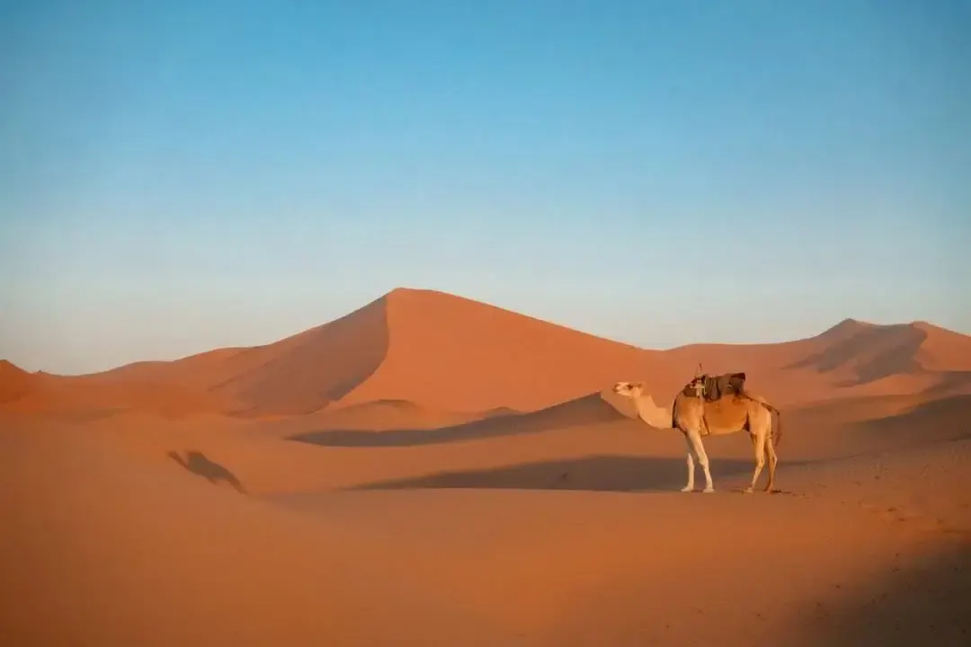3-Day Marrakech to Merzouga Sahara Tour