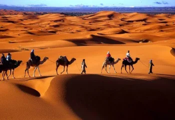 Overnight camel trekk in Merzouga